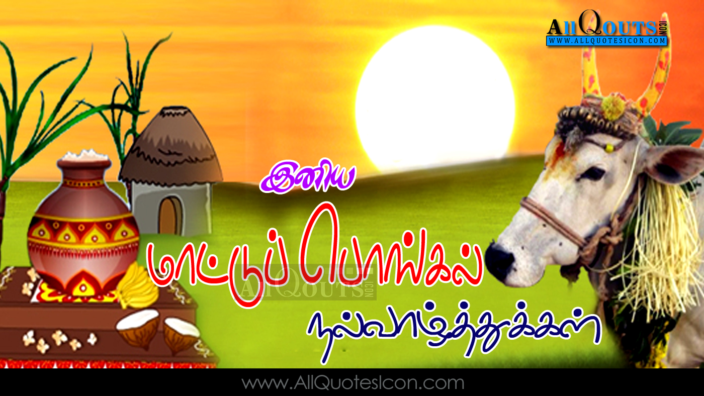 Mattu Pongal Wishes In Tamil - HD Wallpaper 