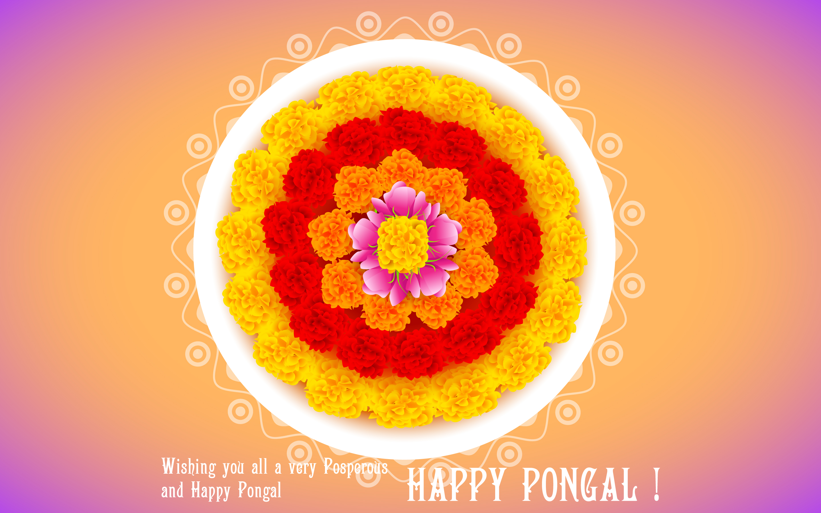 Free Download Pongal Greetings - HD Wallpaper 