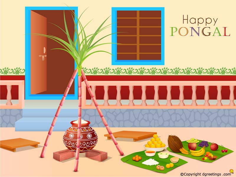 Pongal Pictures Wallpapers - HD Wallpaper 