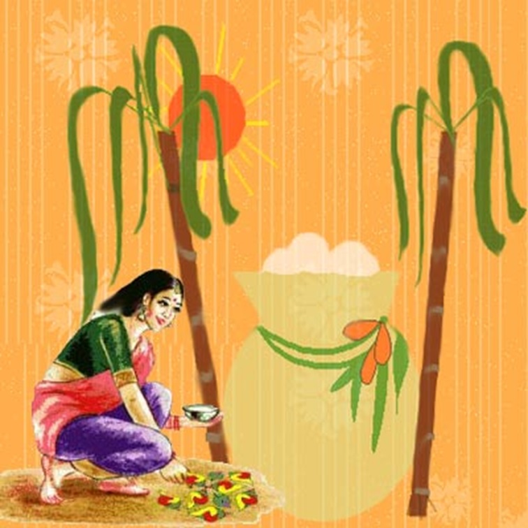 Thai Pongal - HD Wallpaper 