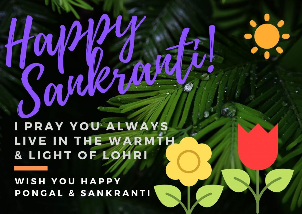 Happy Makar Sankranti & Pongal 2020 Best Wishes Image - Illustration - HD Wallpaper 