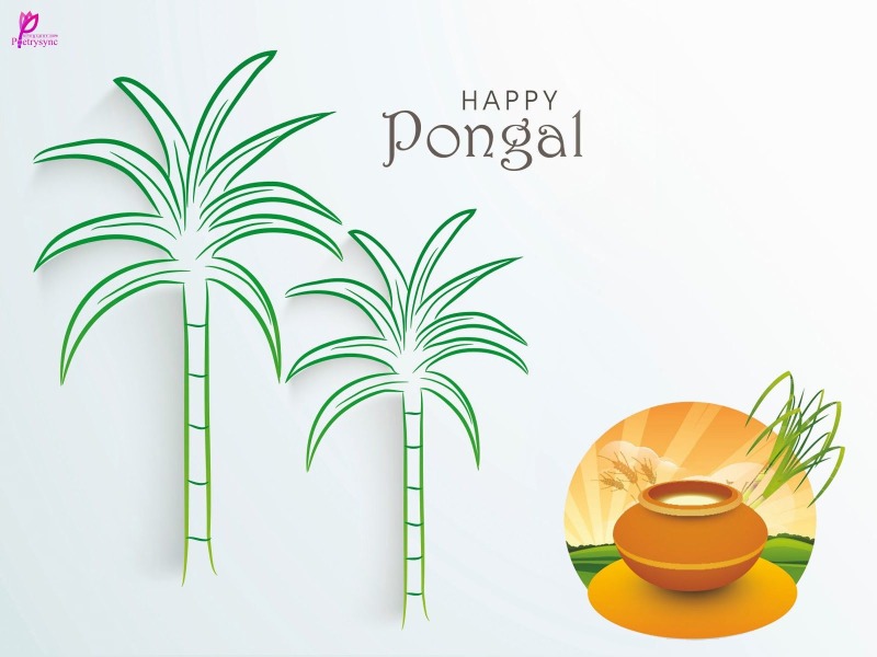 Thai Pongal Valthukkal Hd Pongal Images In Tamil - HD Wallpaper 