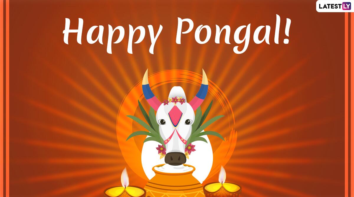Happy Makar Sankranti 2020 Wishes - HD Wallpaper 