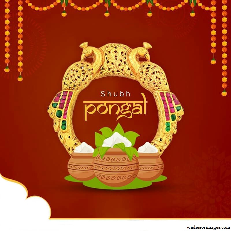 Happy Pongal Wallpapers - Indian Couple Wedding Vector - HD Wallpaper 