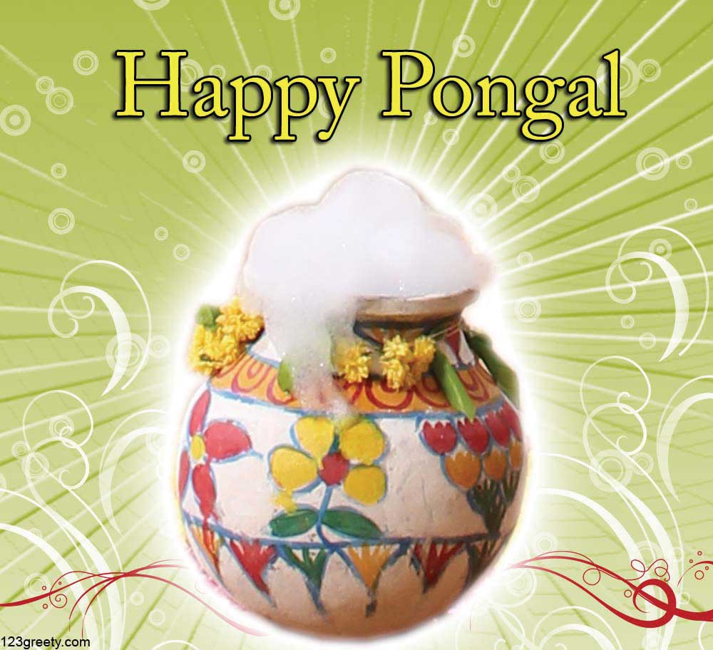 2014 Thai Pongal Wallpapers And Greeting Cards In Bharatmoms - Happy Pongal Trendy - HD Wallpaper 