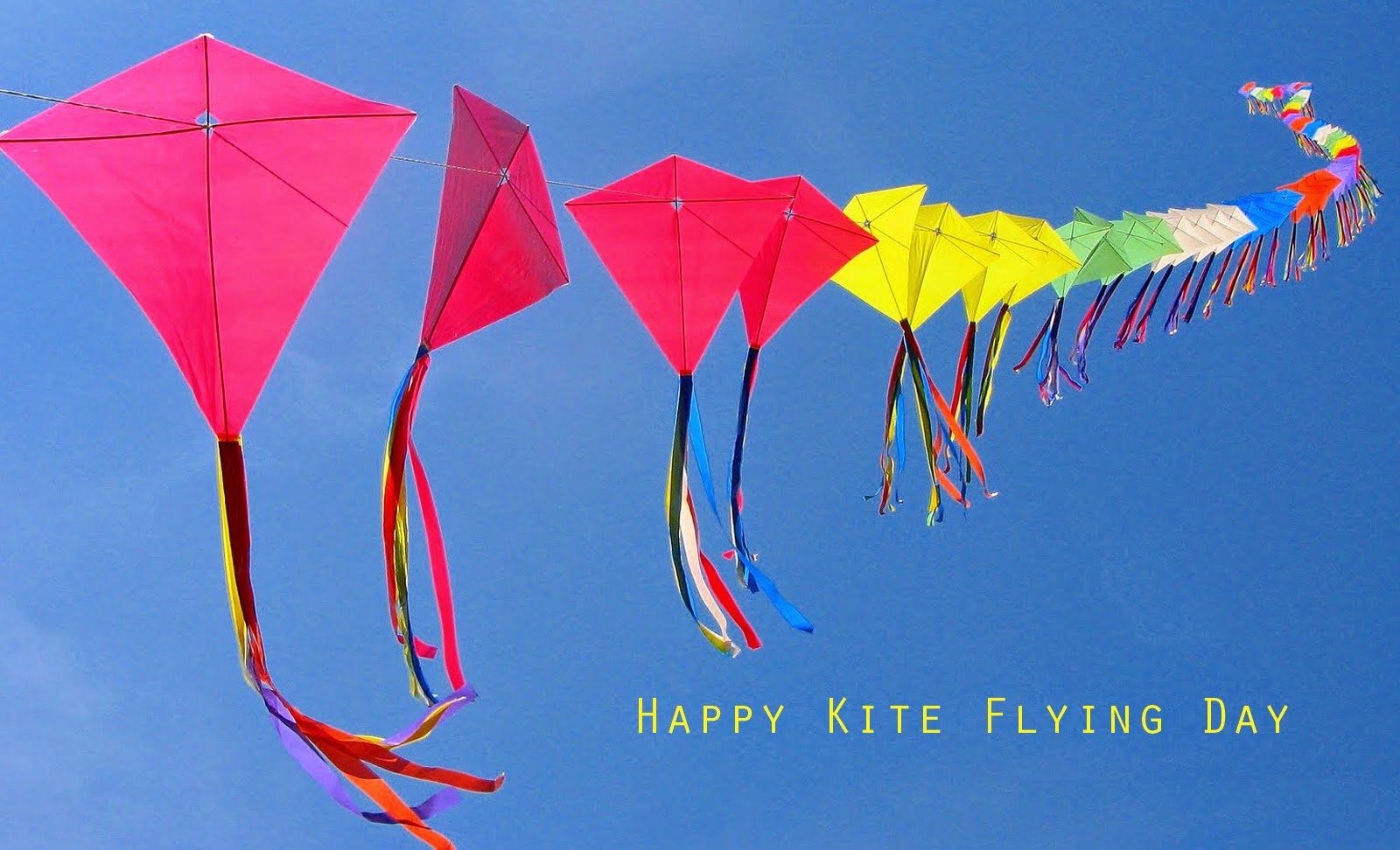 Sankranti Kites - HD Wallpaper 