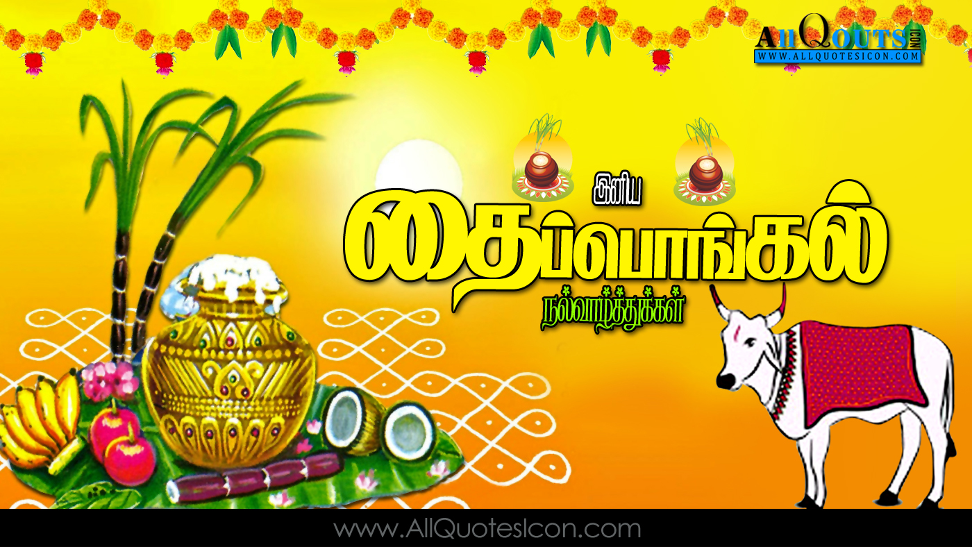 Thai Pongal Wishes In Tamil Best Thai Pongal Wishes - Pongal Wishes In Tamil Png - HD Wallpaper 