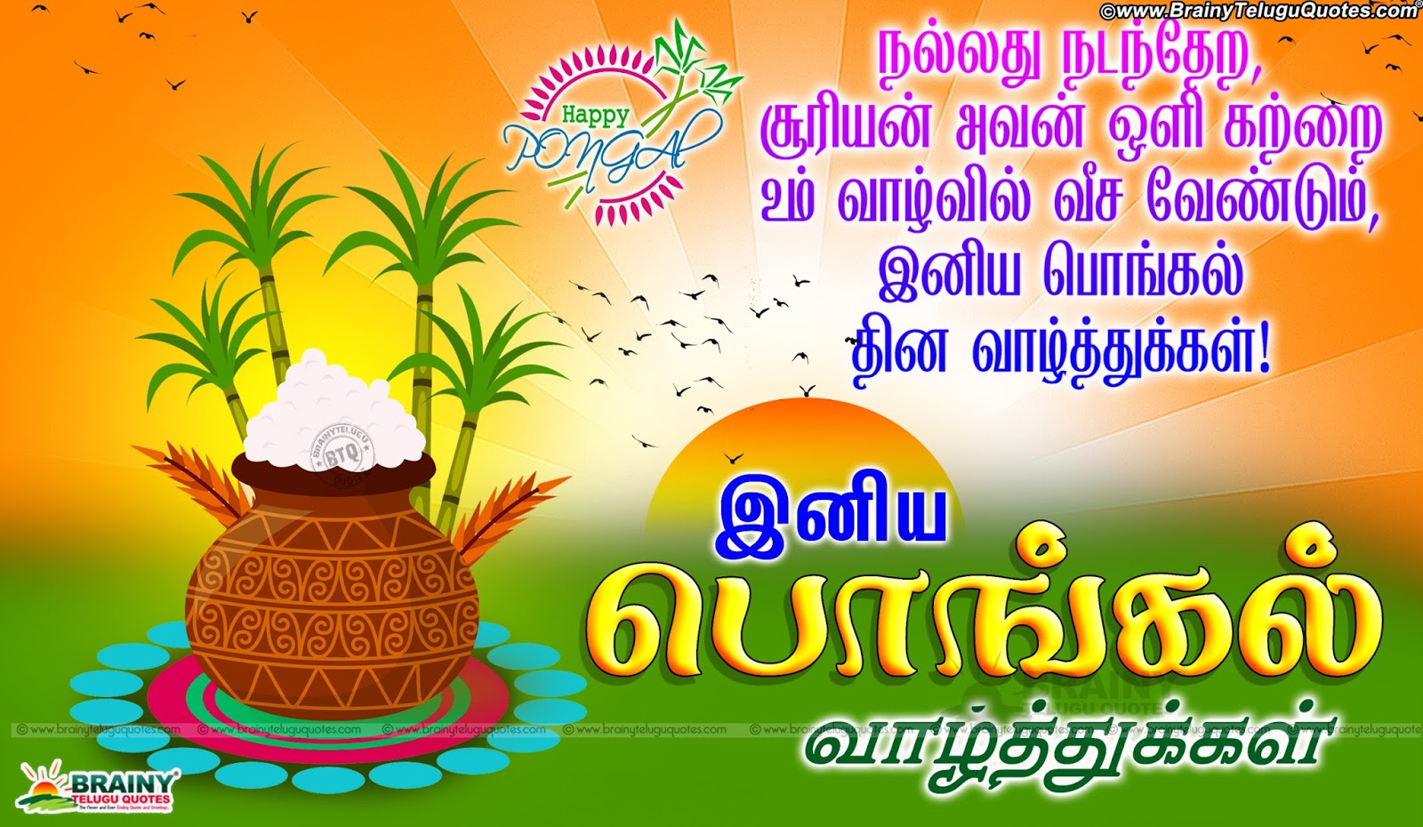 Best Tamil Pongal Greetings Online Quotes, Pongal Valthukkal - Best Pongal Wishes In Tamil - HD Wallpaper 