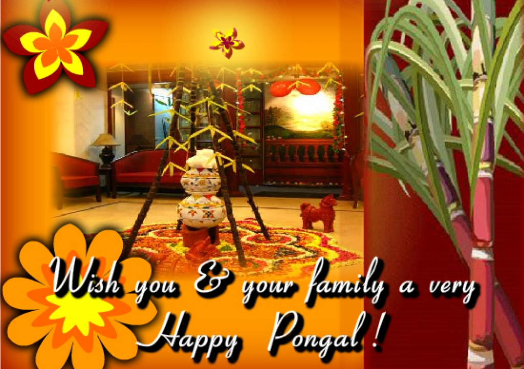 Wish You Happy Pongal - HD Wallpaper 