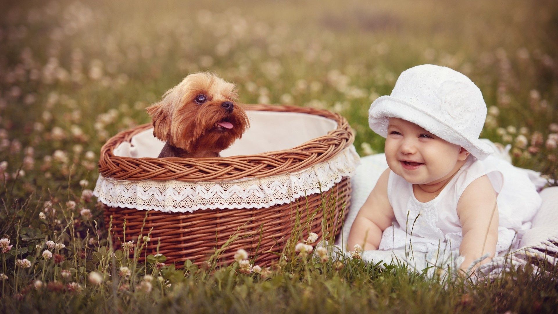 Preview Baby Backgrounds By Peeter Calterone - Baby Desktop Wallpaper Hd - HD Wallpaper 