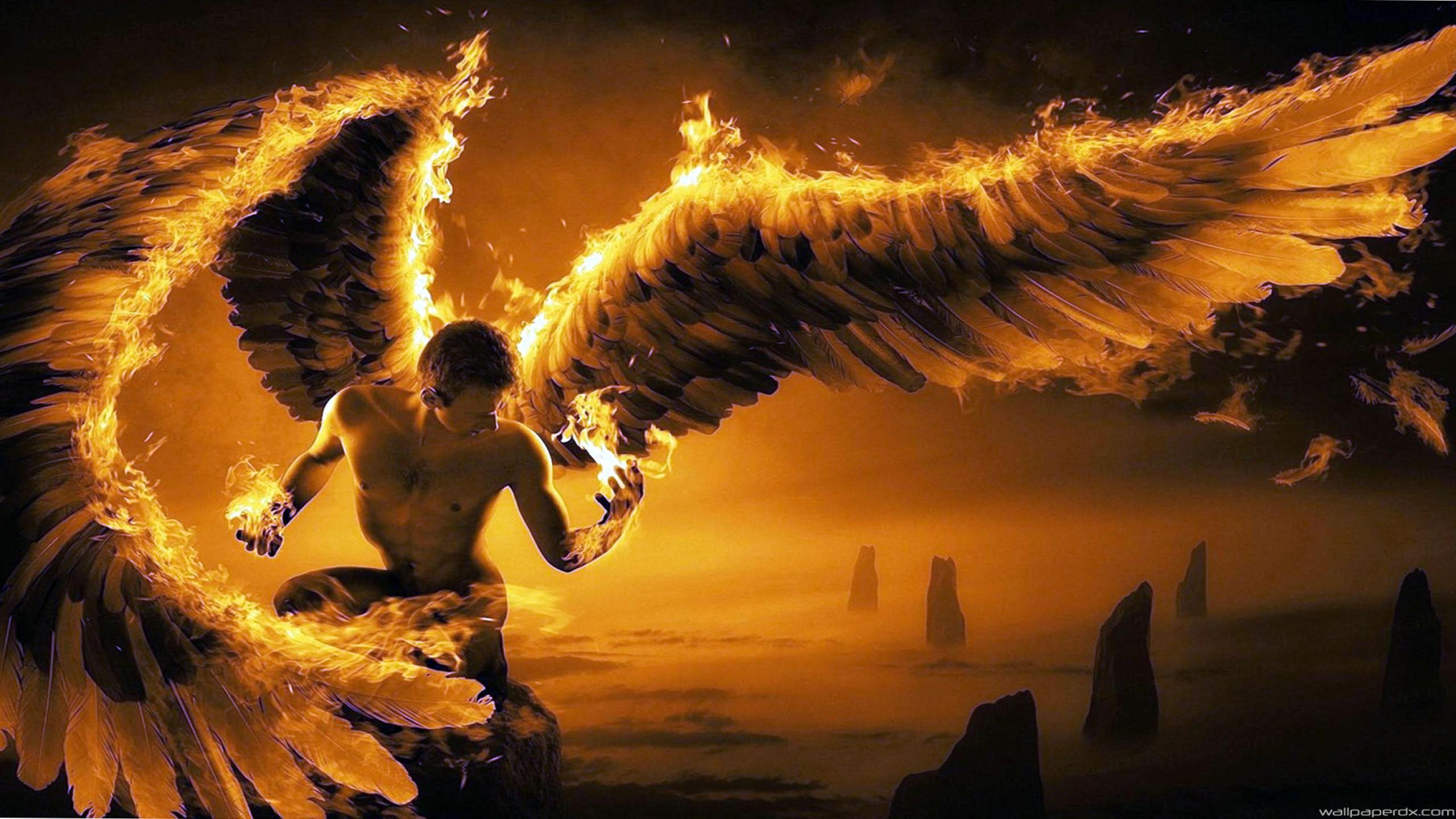 Hd Wings Of Fire For Editing - HD Wallpaper 