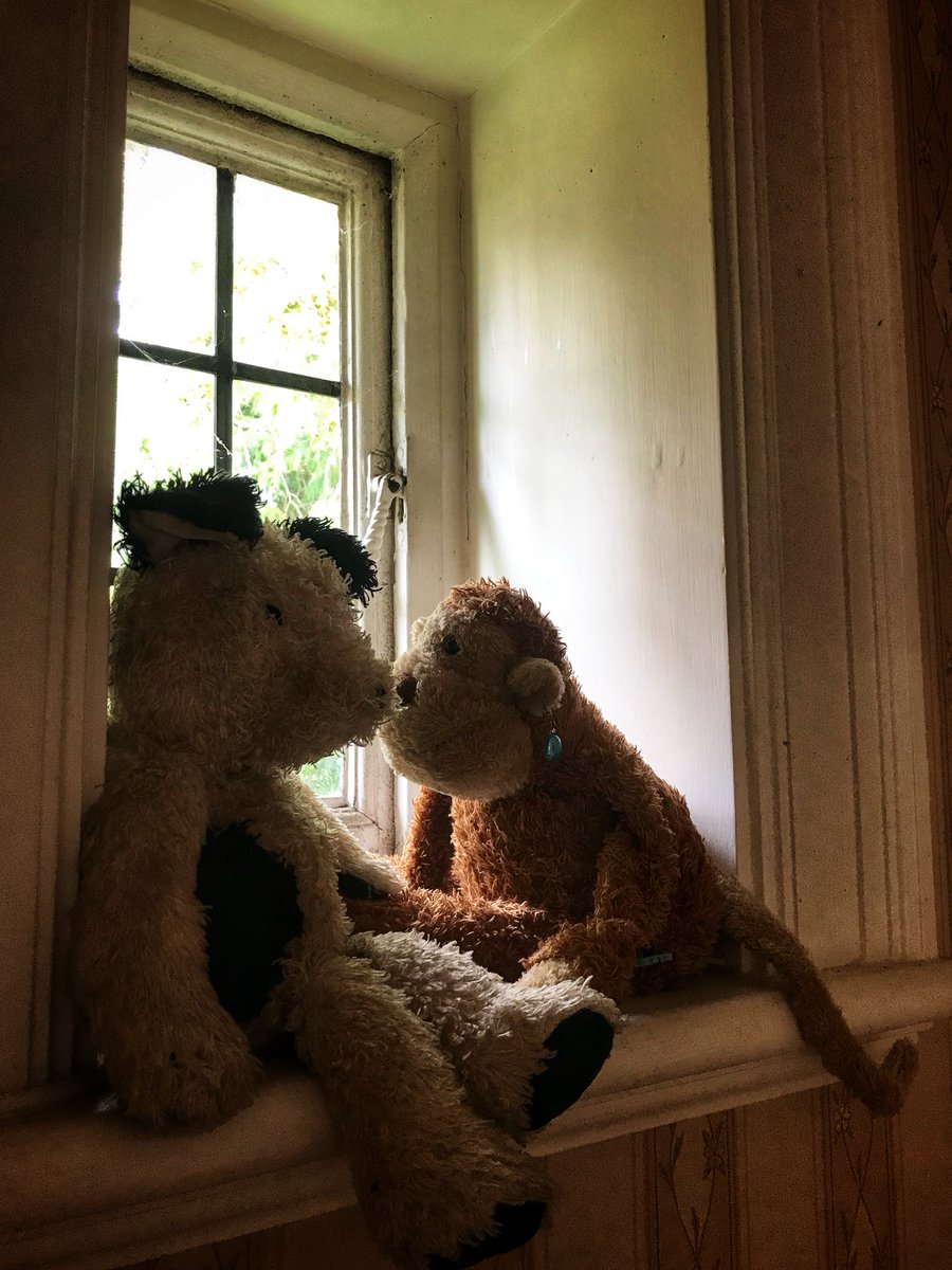 Teddy Bear - HD Wallpaper 