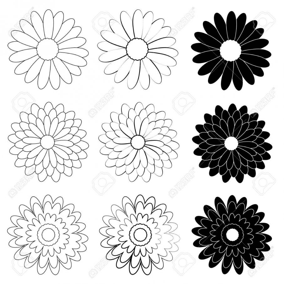 Daisy Drawing Mickey Mouse Pinterest Pictures A Flower - Daisy Flower Vector Black And White - HD Wallpaper 