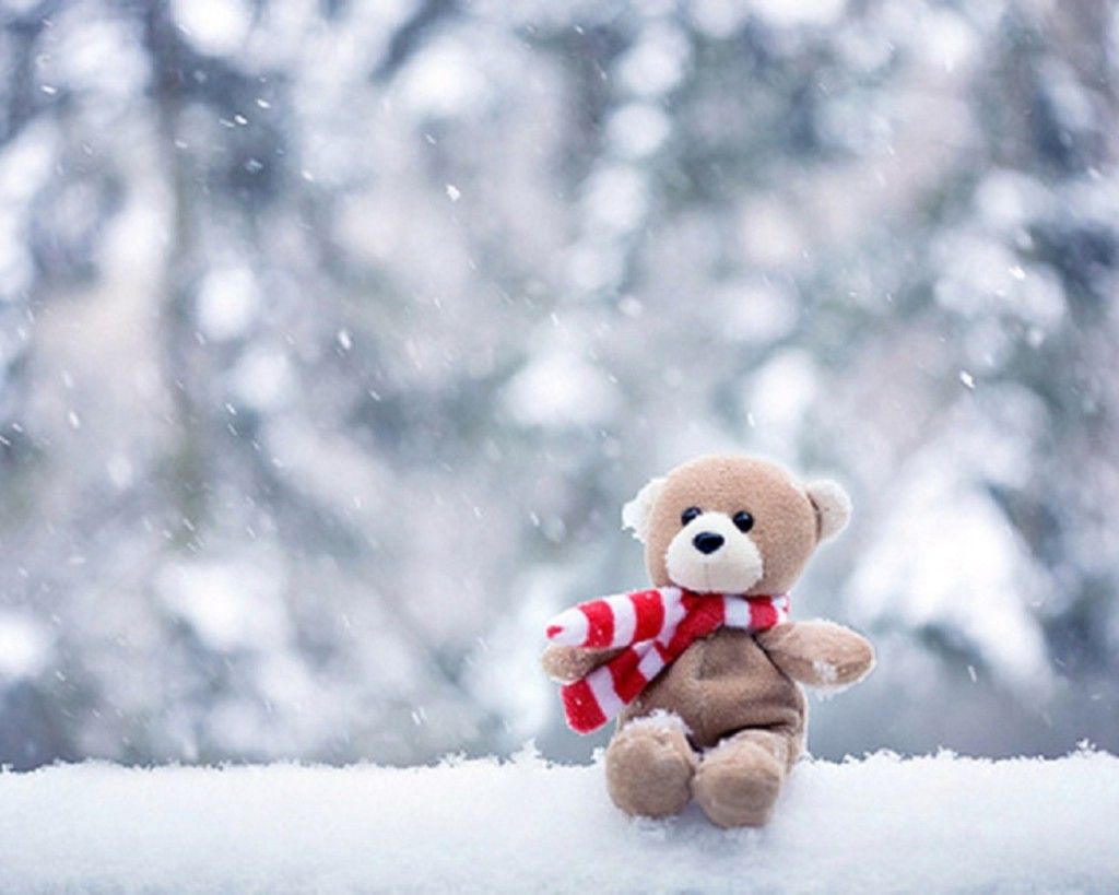 Hd Wallpaper Cute Teddy Bear - HD Wallpaper 