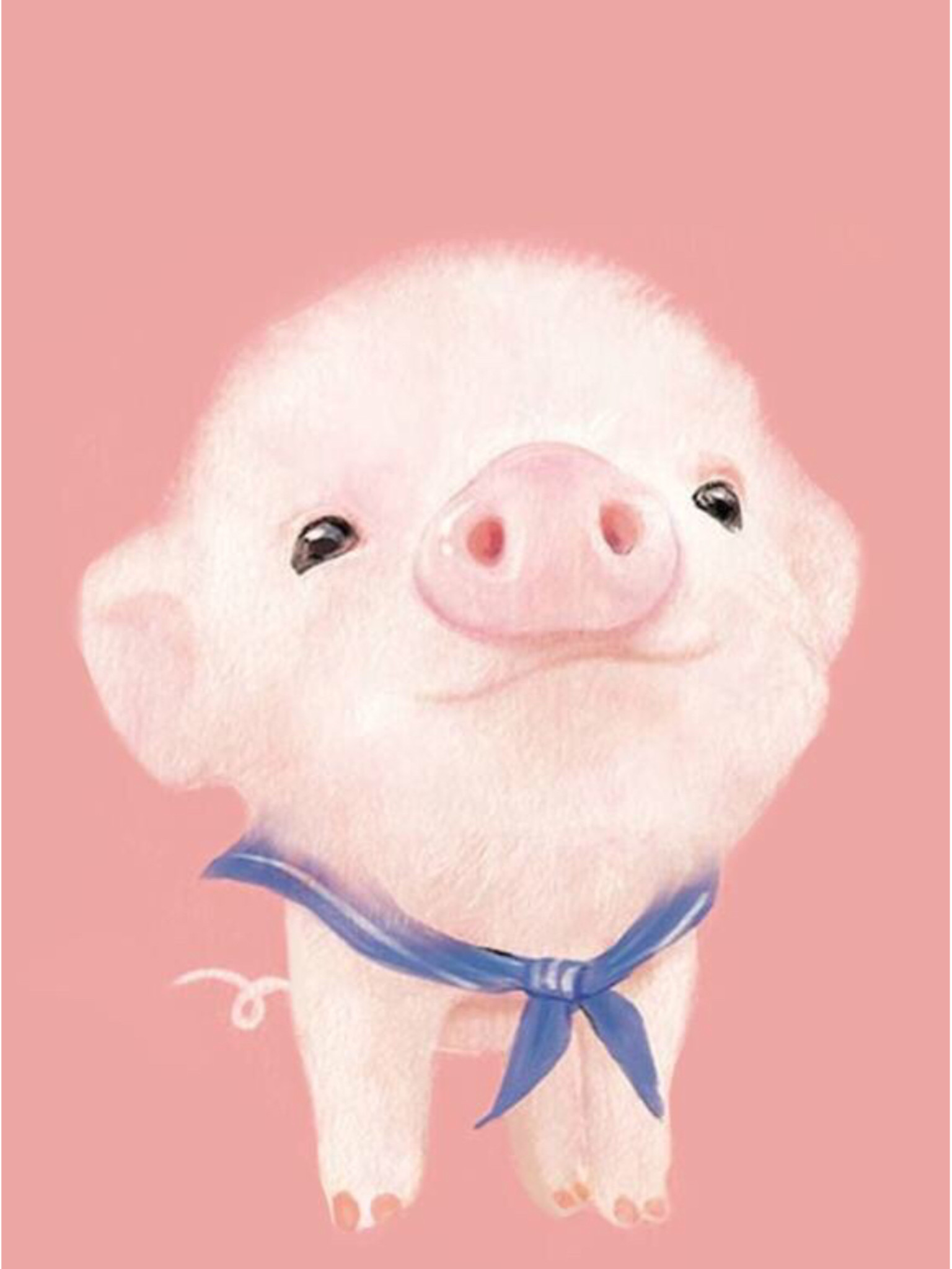 Cute Pig Wallpaper 
 Data Src Cute Pinterest Wallpapers - Pig Background - HD Wallpaper 