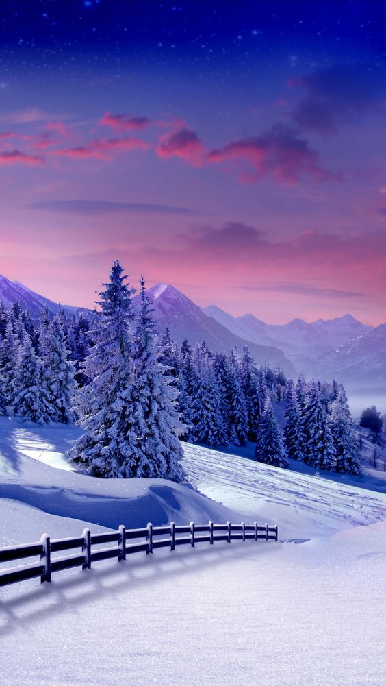 Iphone X Winter Backgrounds - HD Wallpaper 