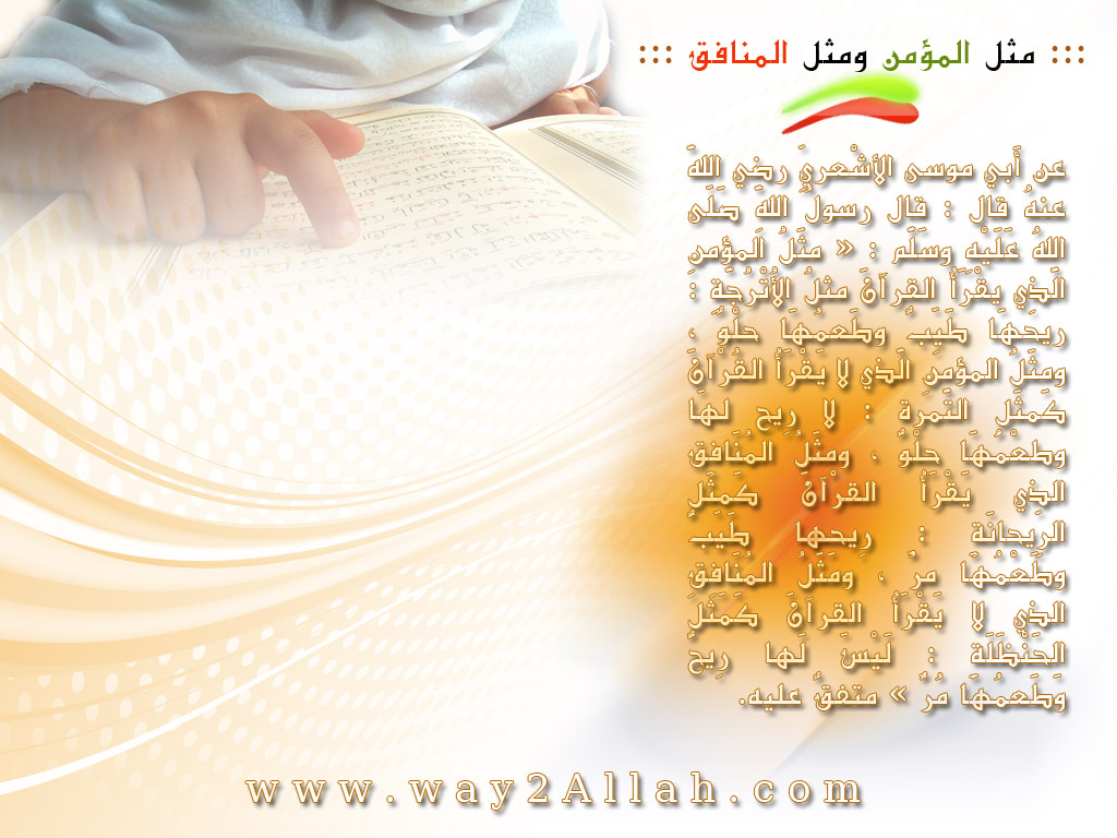 Iqra Wallpaper - Document - HD Wallpaper 