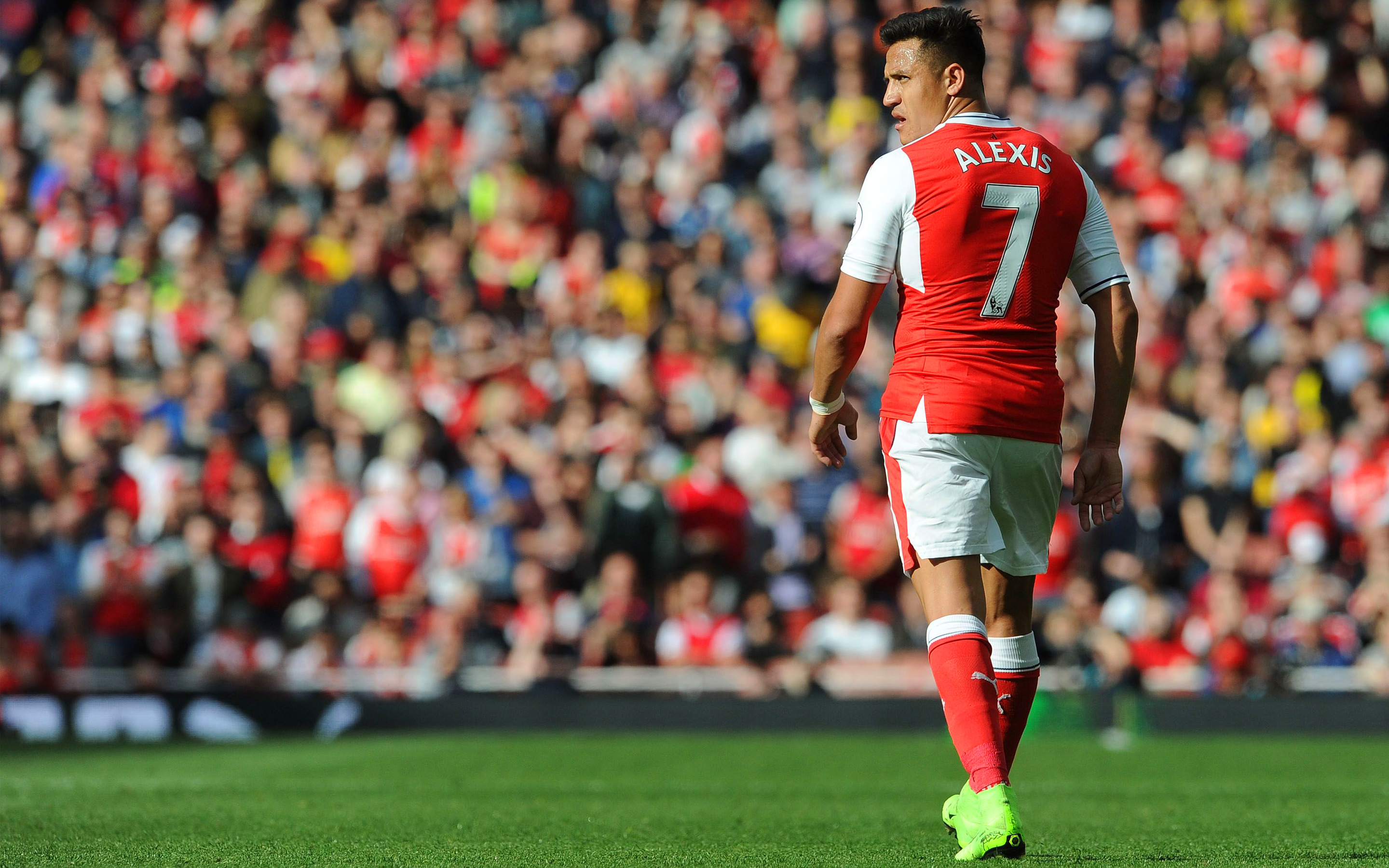 Alexis Sanchez, Fc Arsenal, Footballers, The Gunners, - Alexis Sanchez Arsenal Hd - HD Wallpaper 