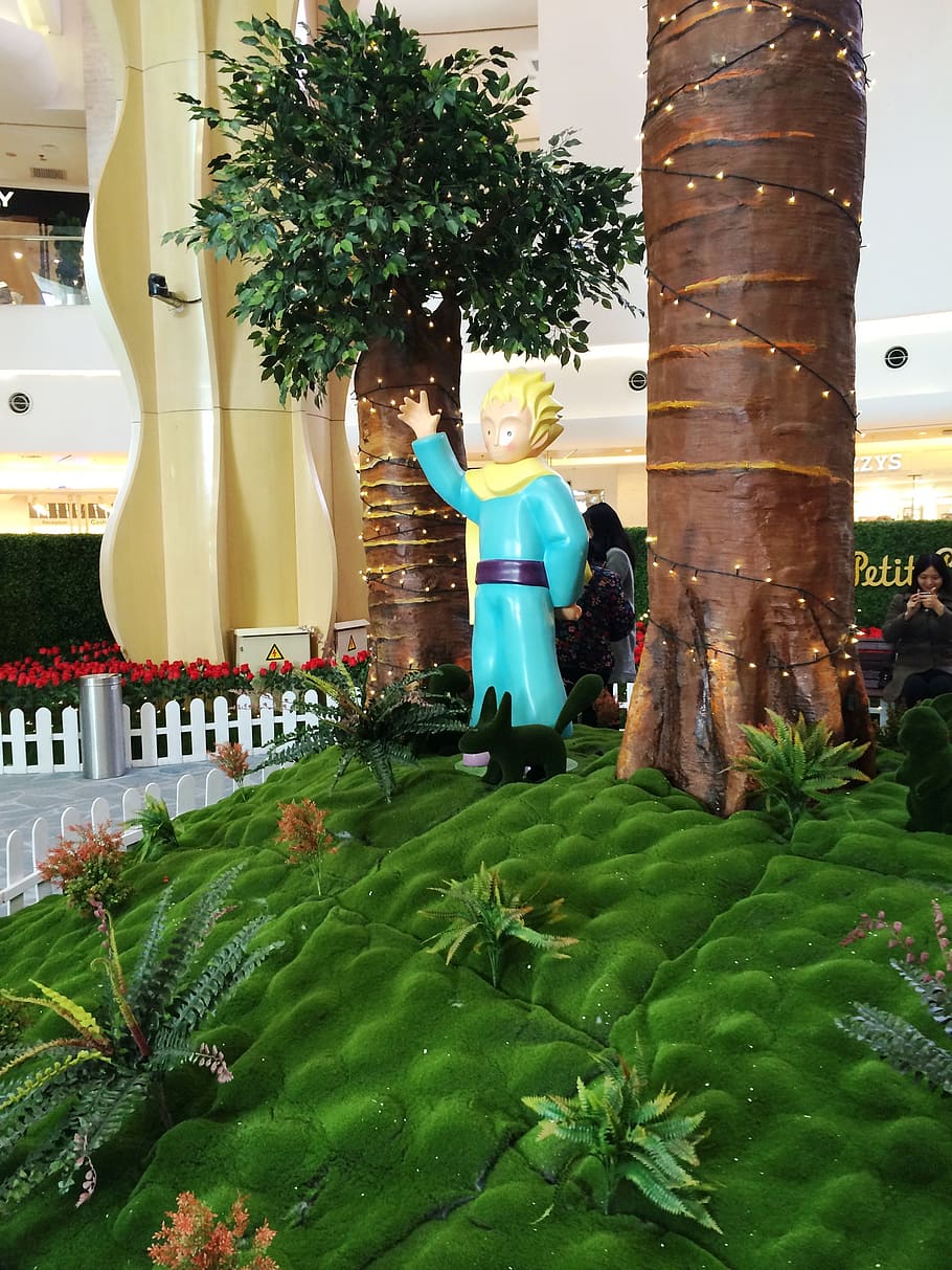 Little Prince, Lonely, Planet, Le Petit Prince, Plant, - HD Wallpaper 