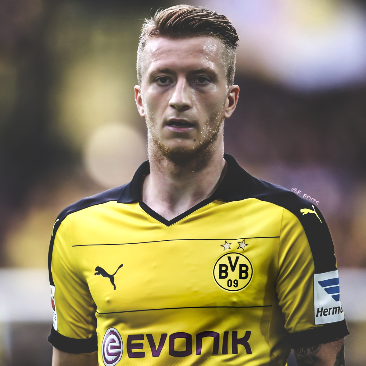 Borussia Dortmund - HD Wallpaper 