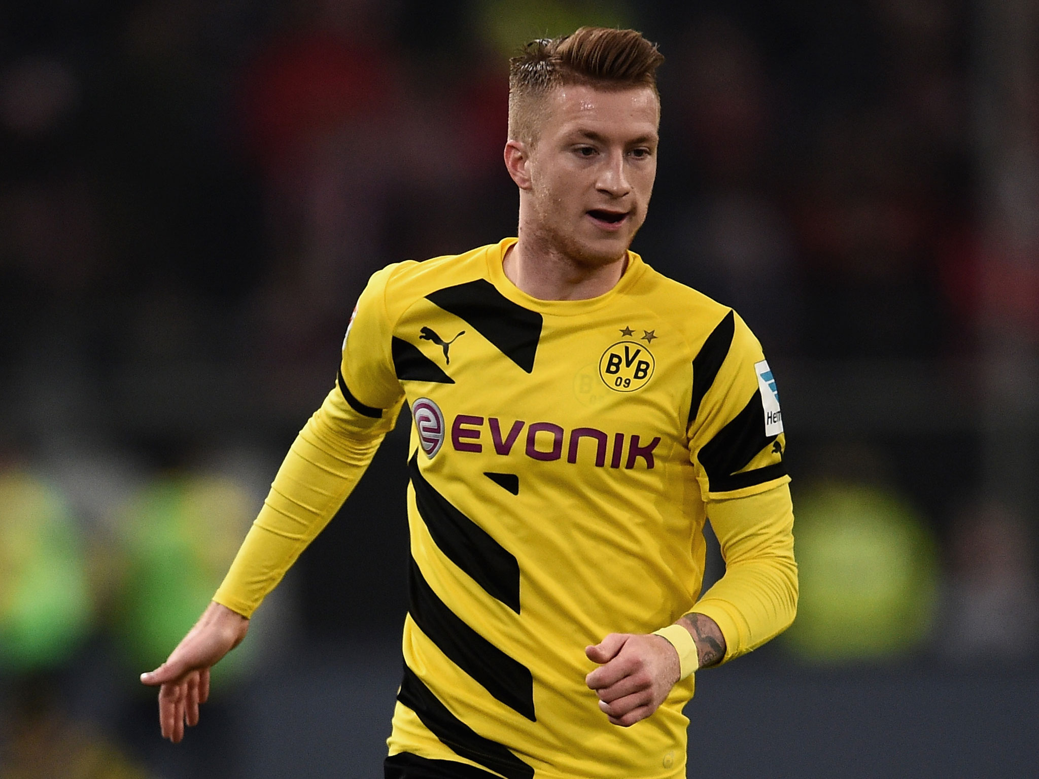 Reus Pics, Video Game Collection - HD Wallpaper 