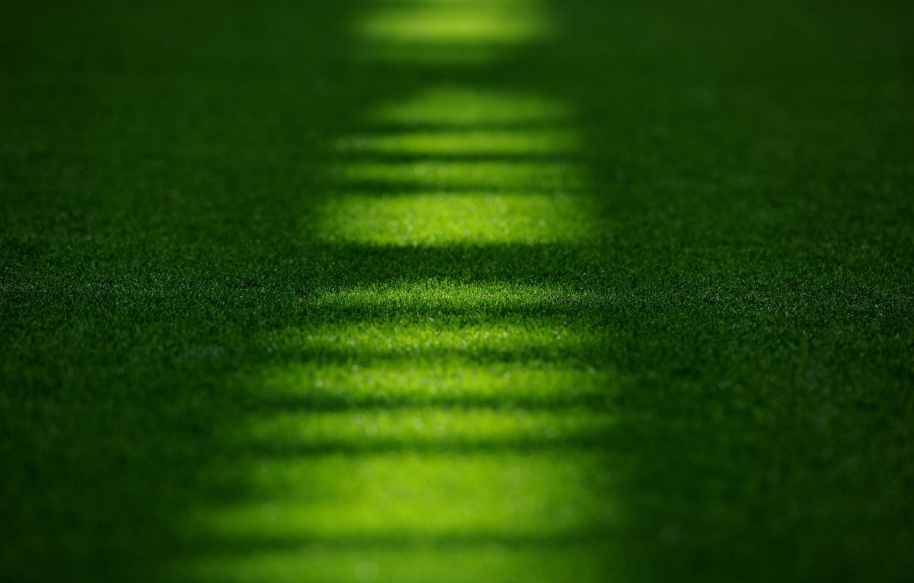 Photo Wallpaper Field, Grass, Macro, Lawn, Stadium, - Stadium Grass - HD Wallpaper 