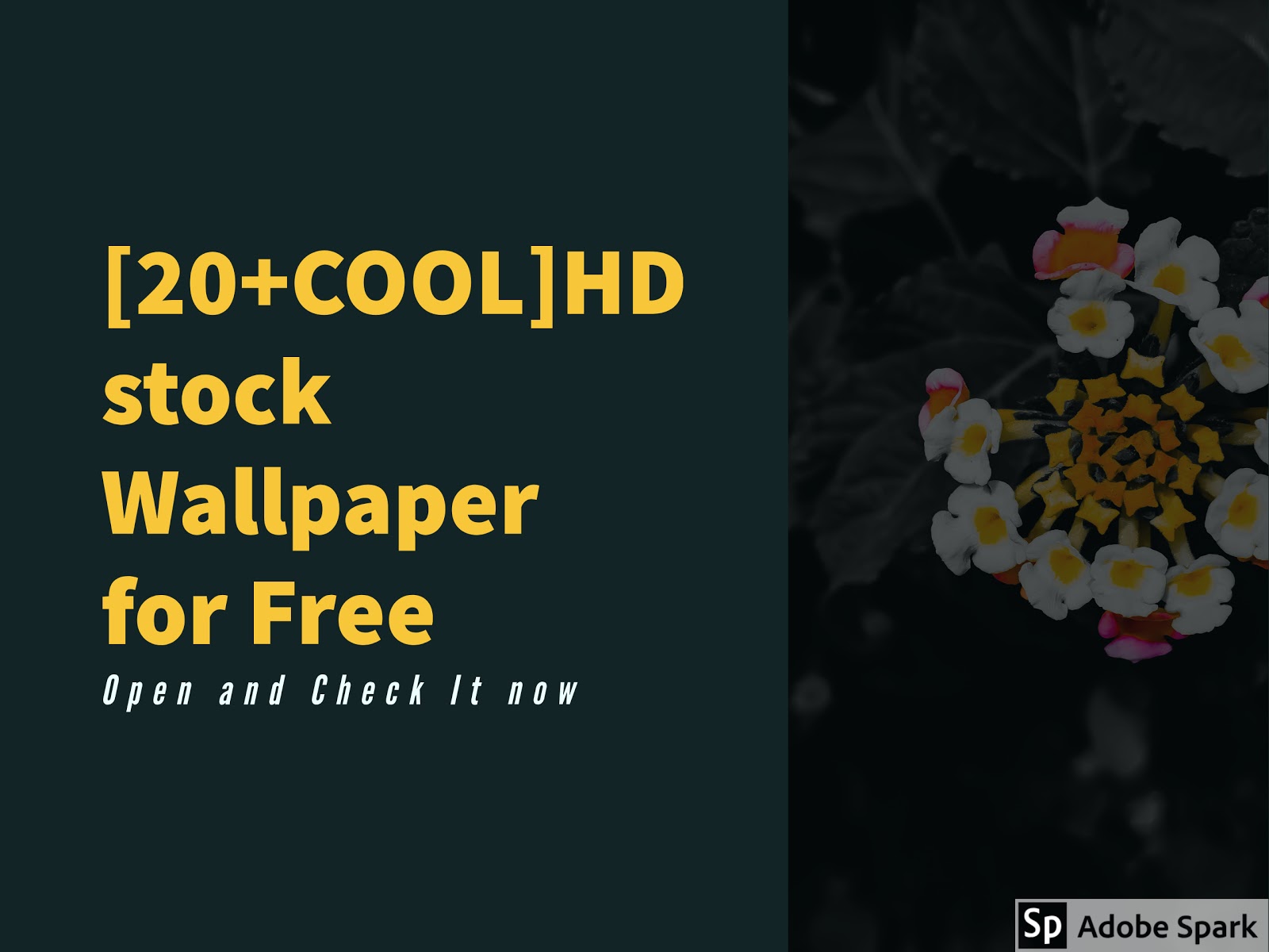 [20 Cool ]free Hd Wallpaper For Mobile - Lantana - HD Wallpaper 