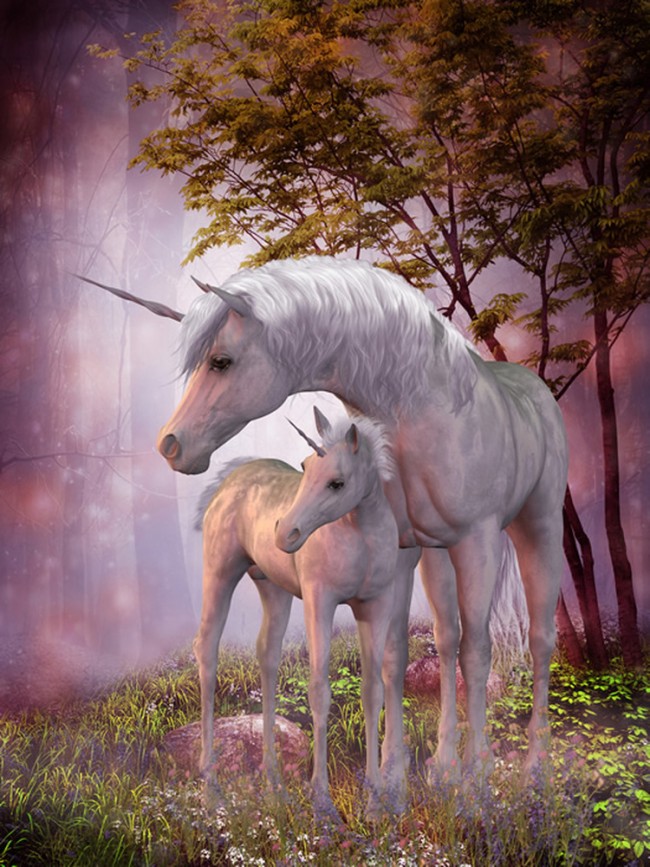 Unicorn Mother And Foal - HD Wallpaper 