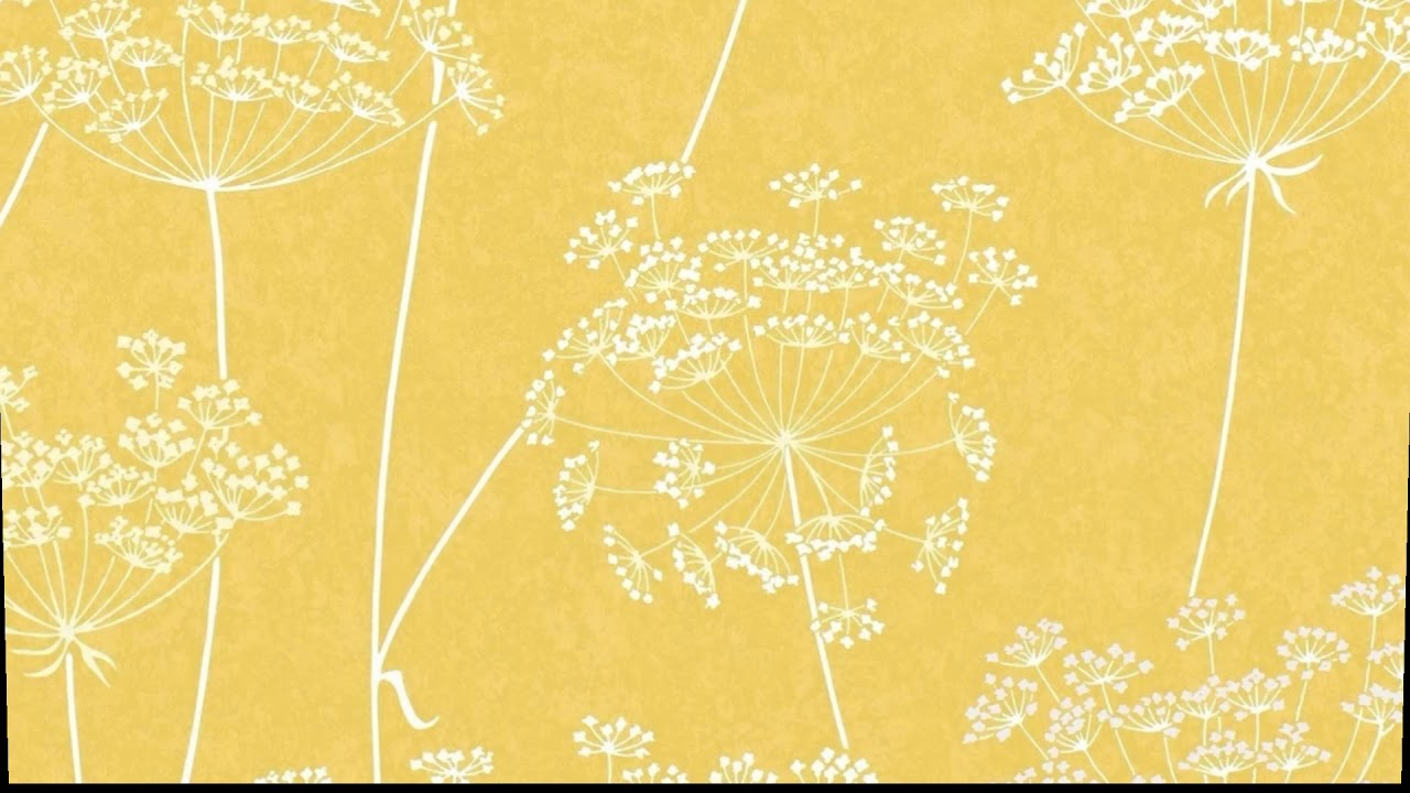 Motif - HD Wallpaper 