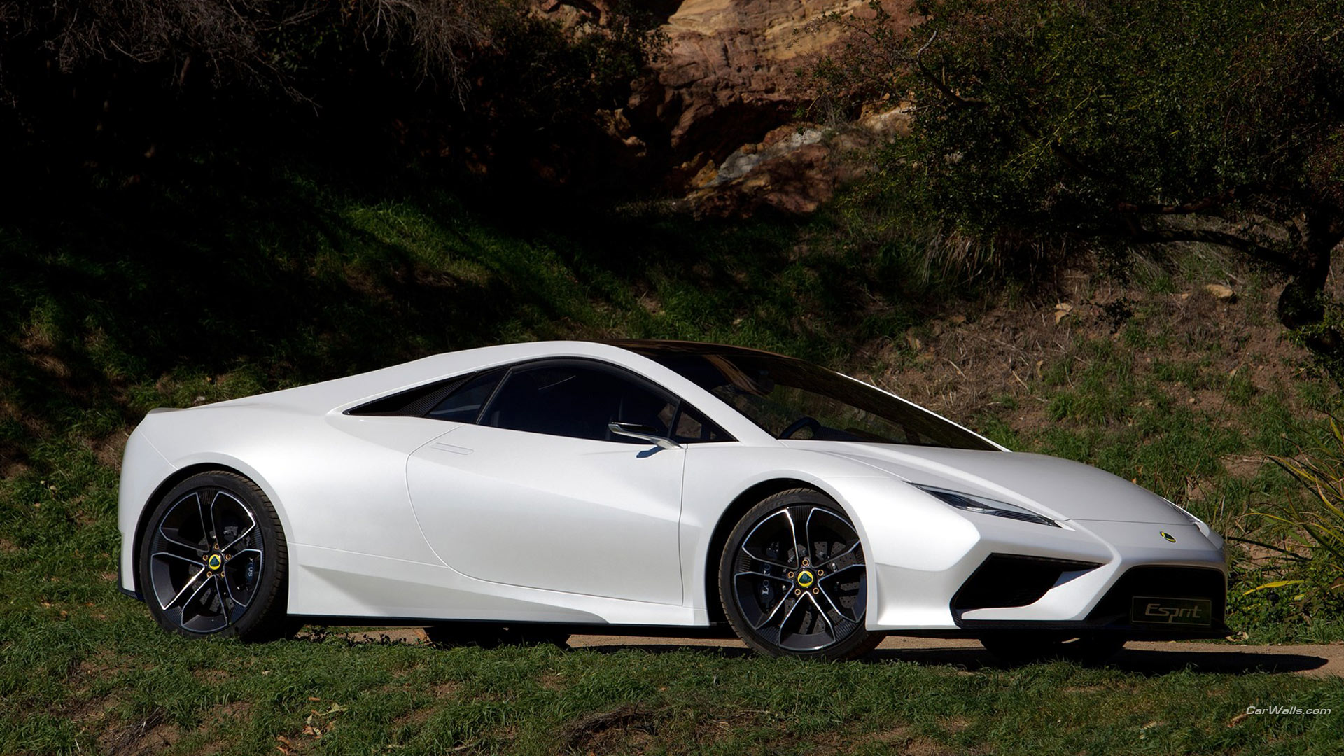 Cars Lotus Esprit 2019 - HD Wallpaper 