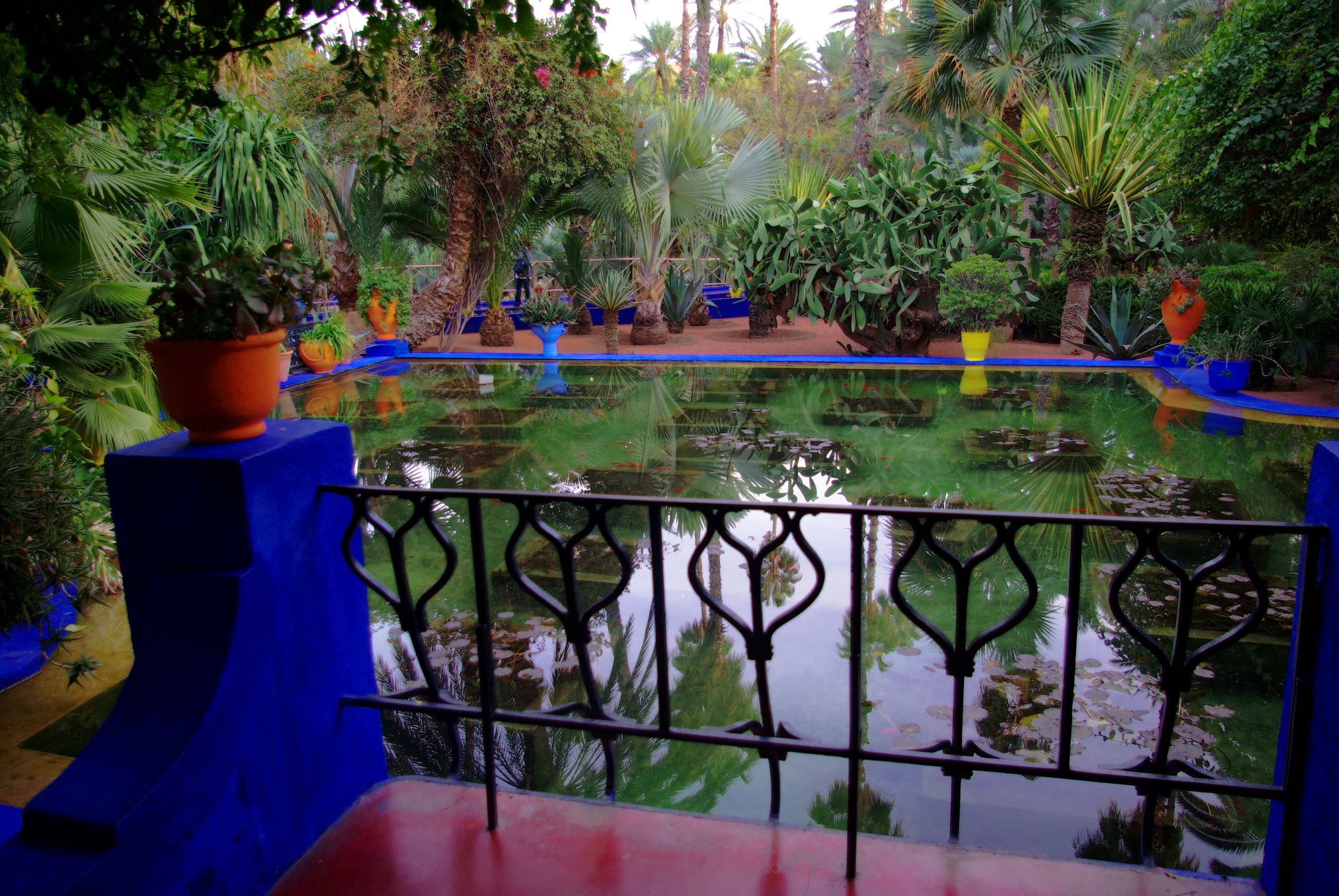 Jardin Majorelle Marrakech - HD Wallpaper 