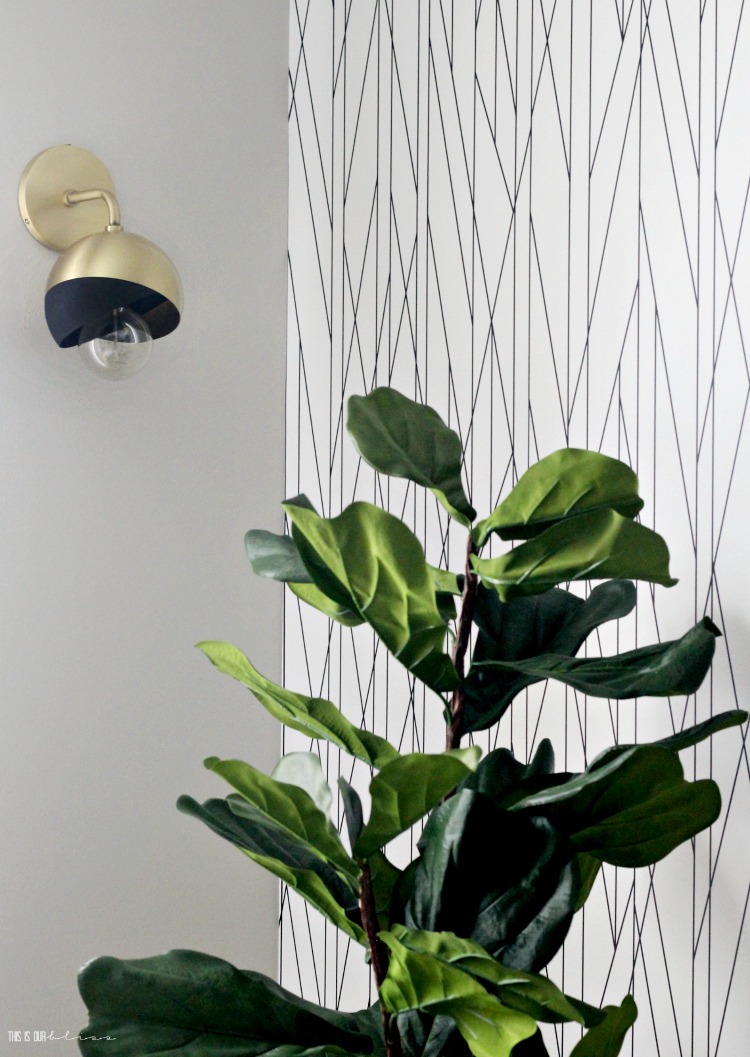 Big Boy Room Reveal With Black And Gold Wall Sconces - Houseplant - HD Wallpaper 