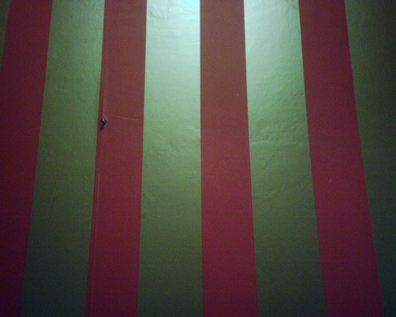 Digital Image - Wood - HD Wallpaper 