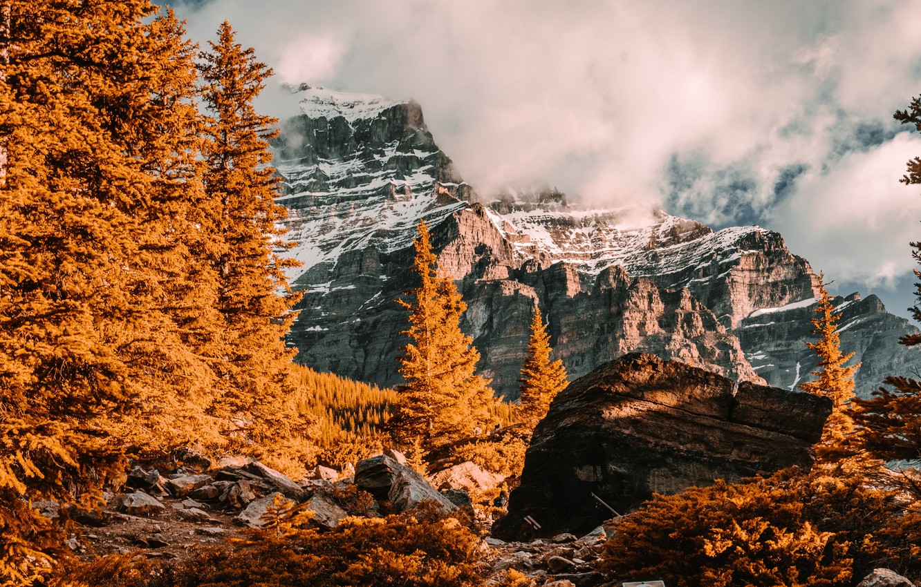 Photo Wallpaper Sky, Trees, Nature, Autumn, Mountains, - Nature - HD Wallpaper 