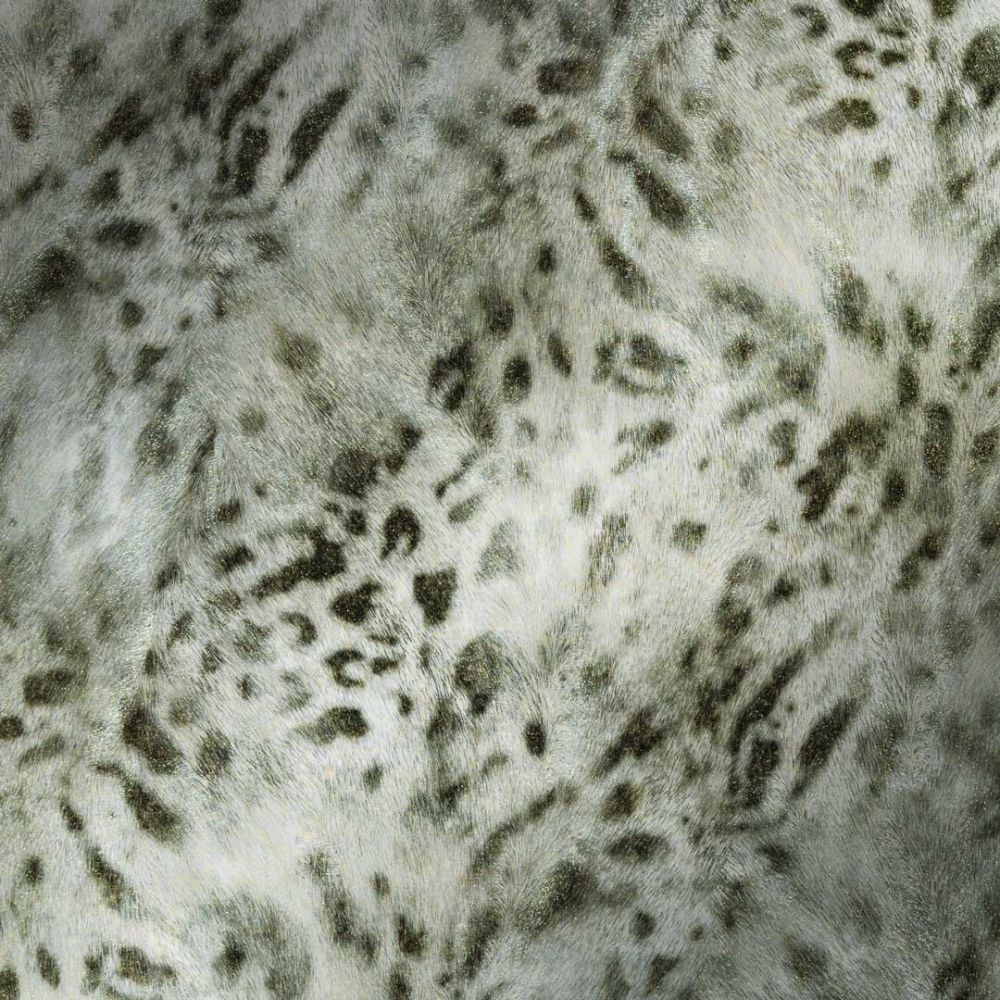 Wallpaper - HD Wallpaper 