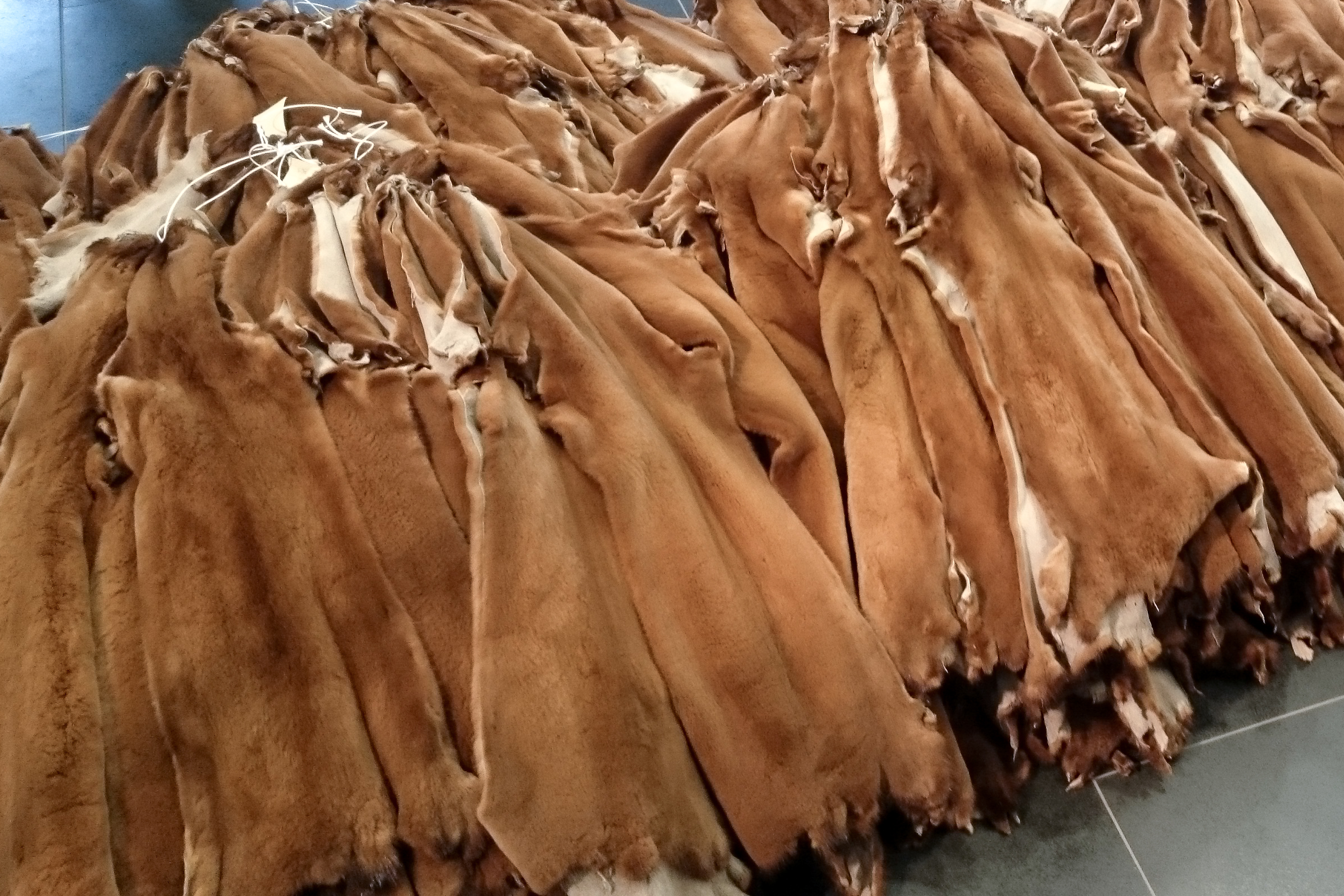 Fur Clothing - HD Wallpaper 