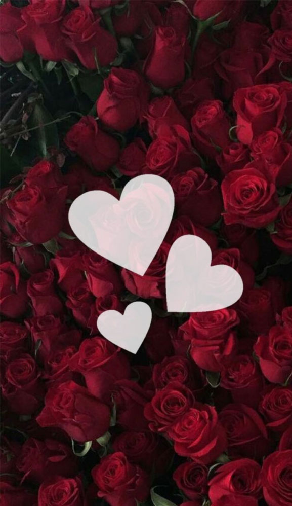 Quotes With Rose Background - HD Wallpaper 