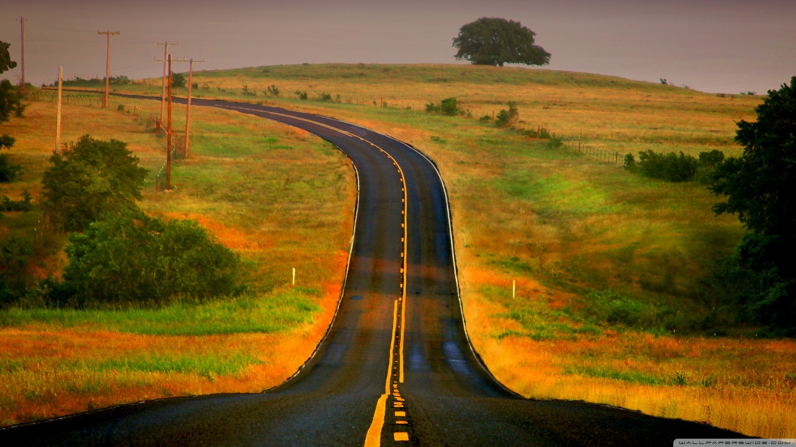 Hitchhiking Road - HD Wallpaper 