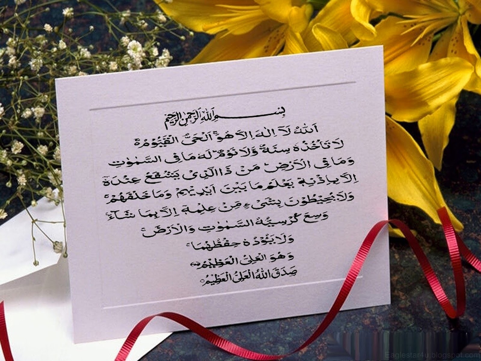 Ns Letter Wallpapers - HD Wallpaper 