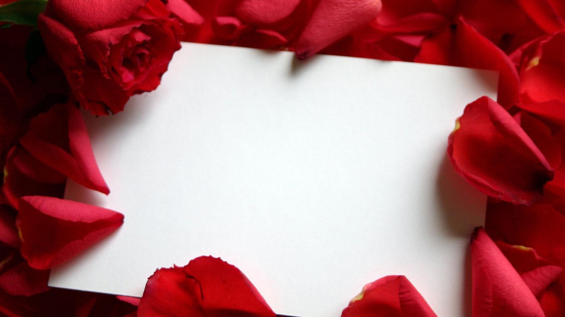 A Love Letter Wallpaper - Blank Love Letter Pad - HD Wallpaper 