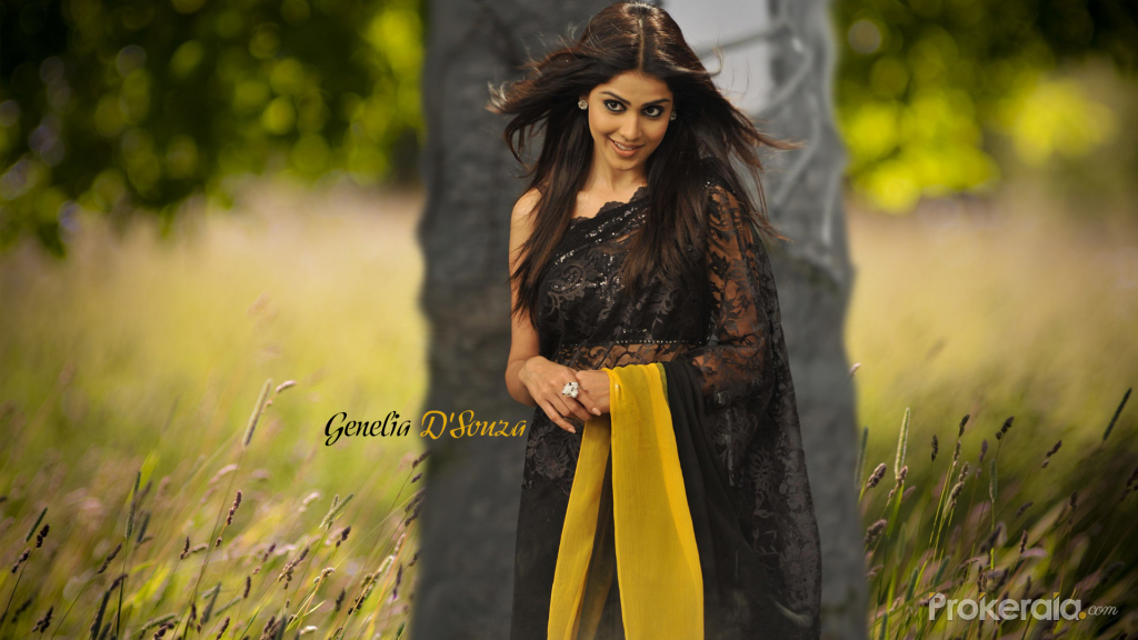 Genelia In Naa Ishtam Movie - HD Wallpaper 