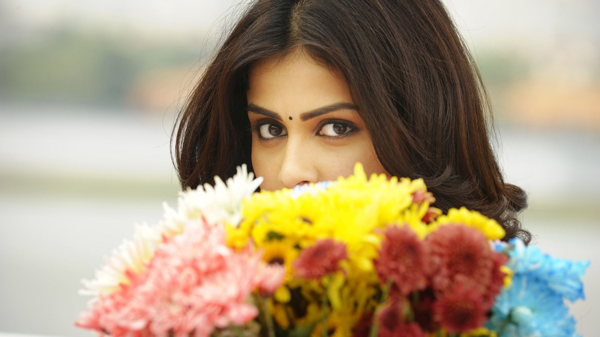 Genelia D Souza Wallpapers Hd - HD Wallpaper 
