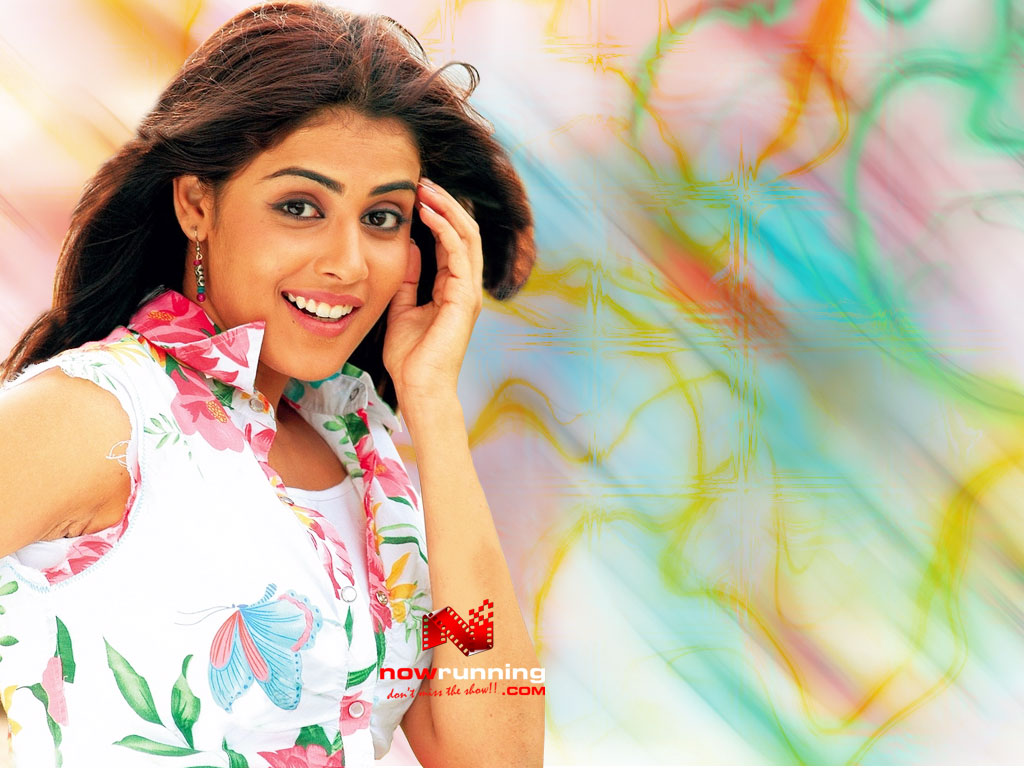 Genelia D Souza Hd - HD Wallpaper 