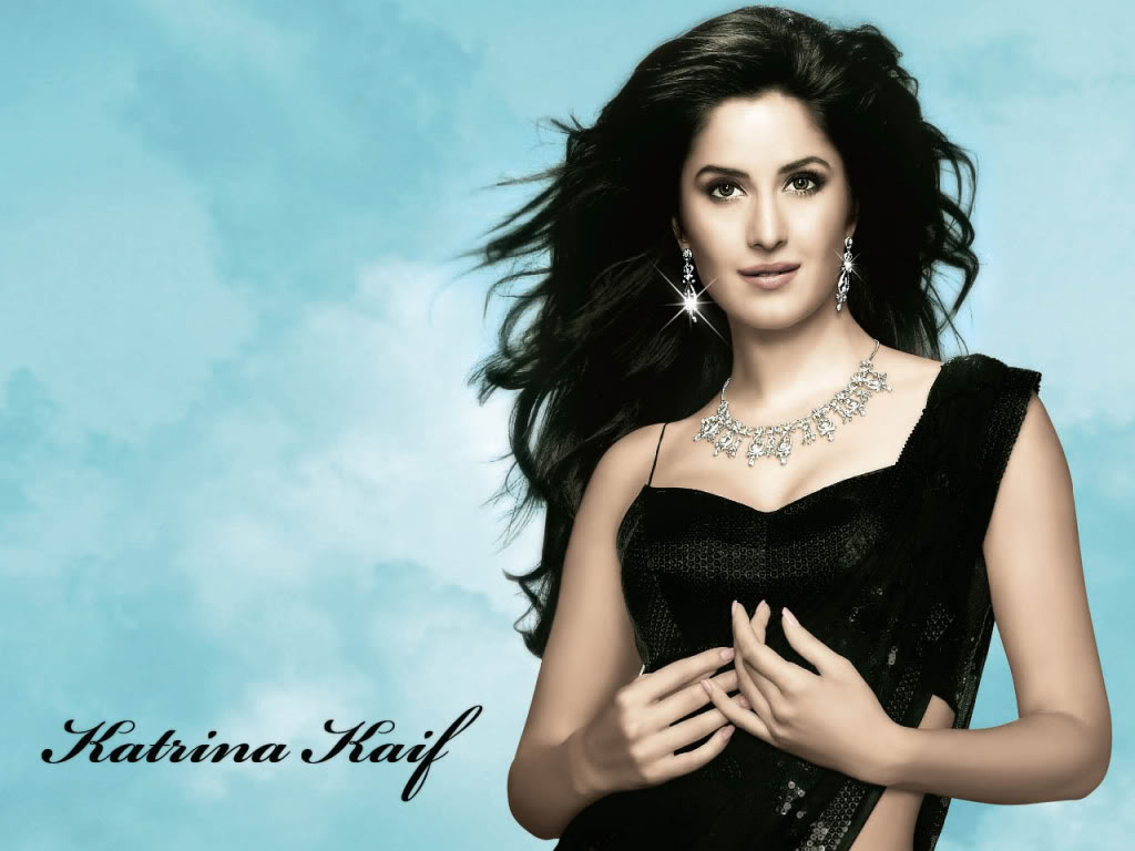 Katrina Kaif Black Net Saree - HD Wallpaper 