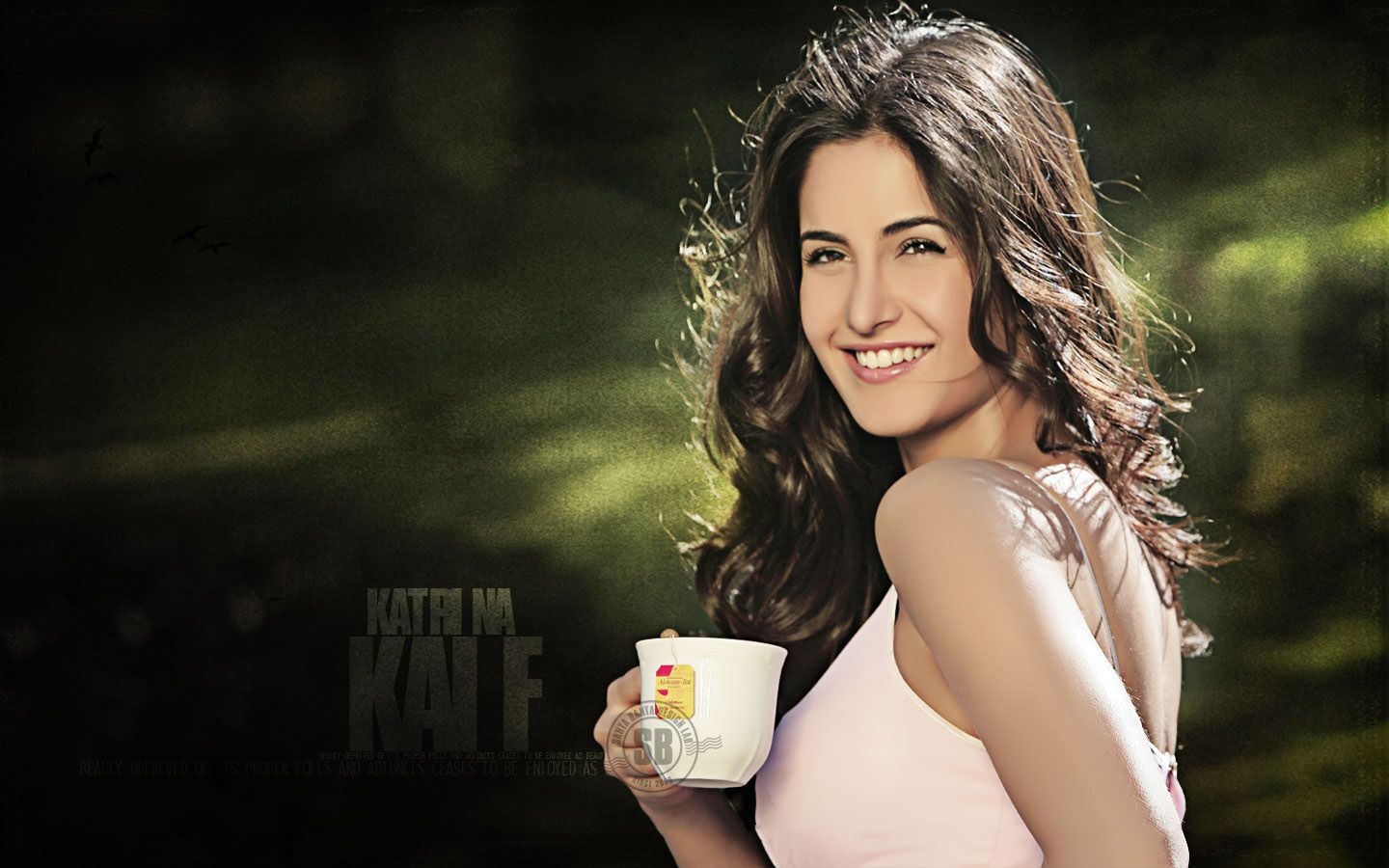 Full Hd Katrina Kaif - HD Wallpaper 