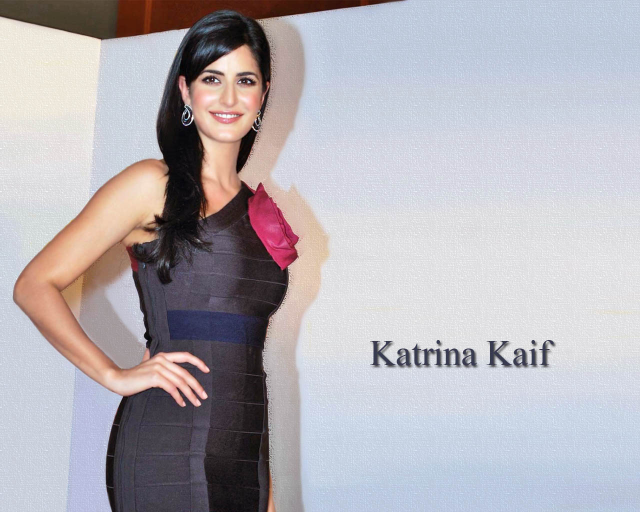 Katrina Kaif Sexy Dress - 1280x1024 Wallpaper 
