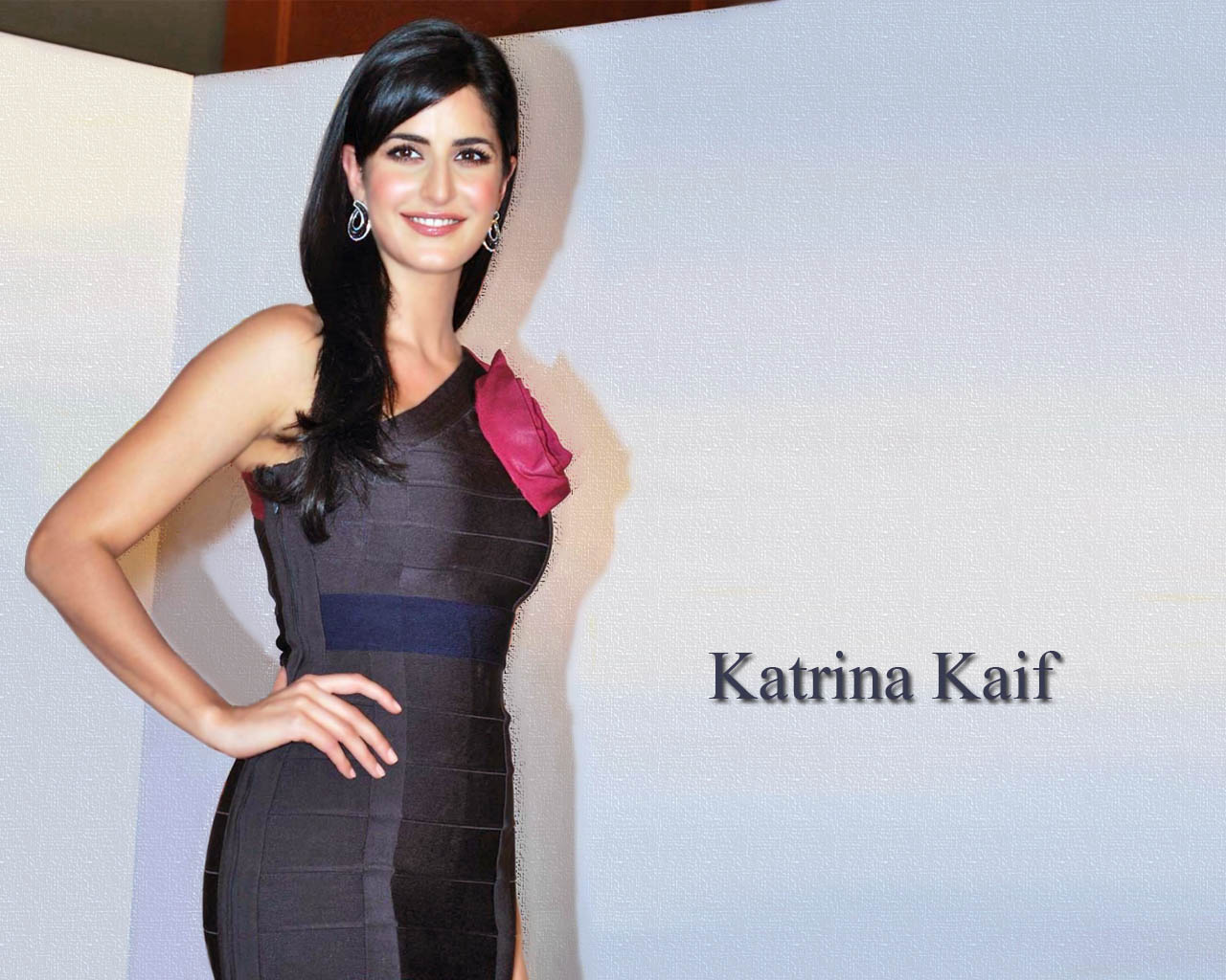 Katrina Kaif Sexy Dress - HD Wallpaper 