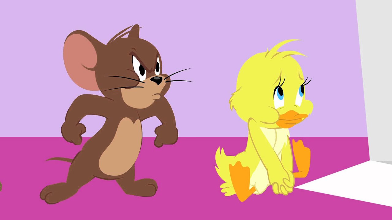 Tom Y Jerry Show - HD Wallpaper 