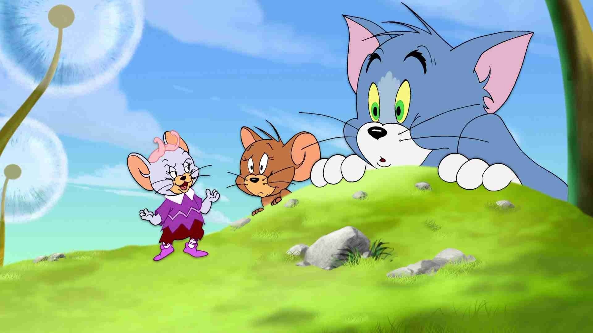 Tom And Jerry Funny Cute Image 
 Data Src Cool Tom - Background Tom And Jerry - HD Wallpaper 