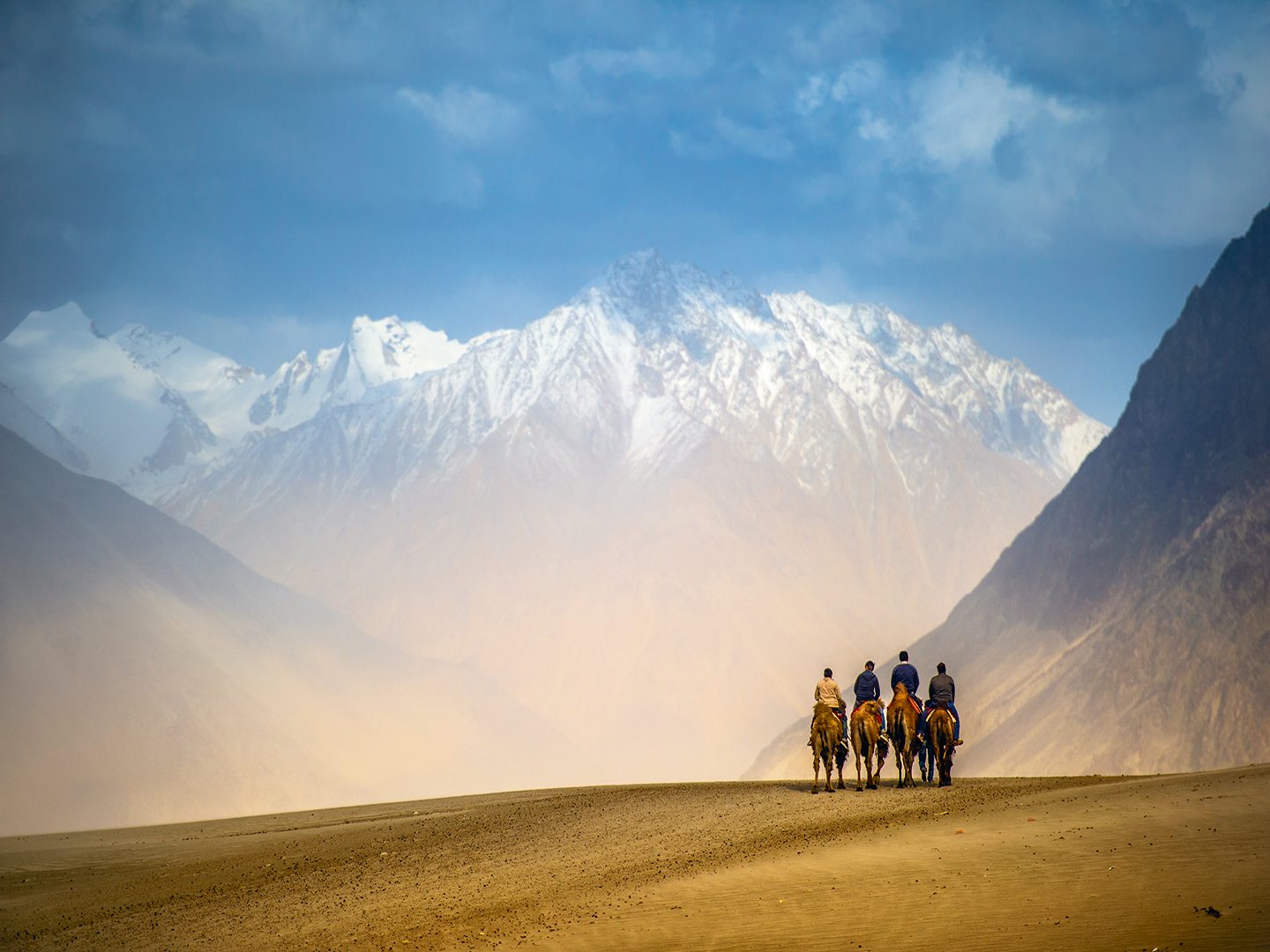 Hunder Sand Dunes, Ladakh - Ladakh - HD Wallpaper 